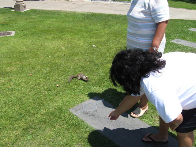 617x456 pixels (148K)